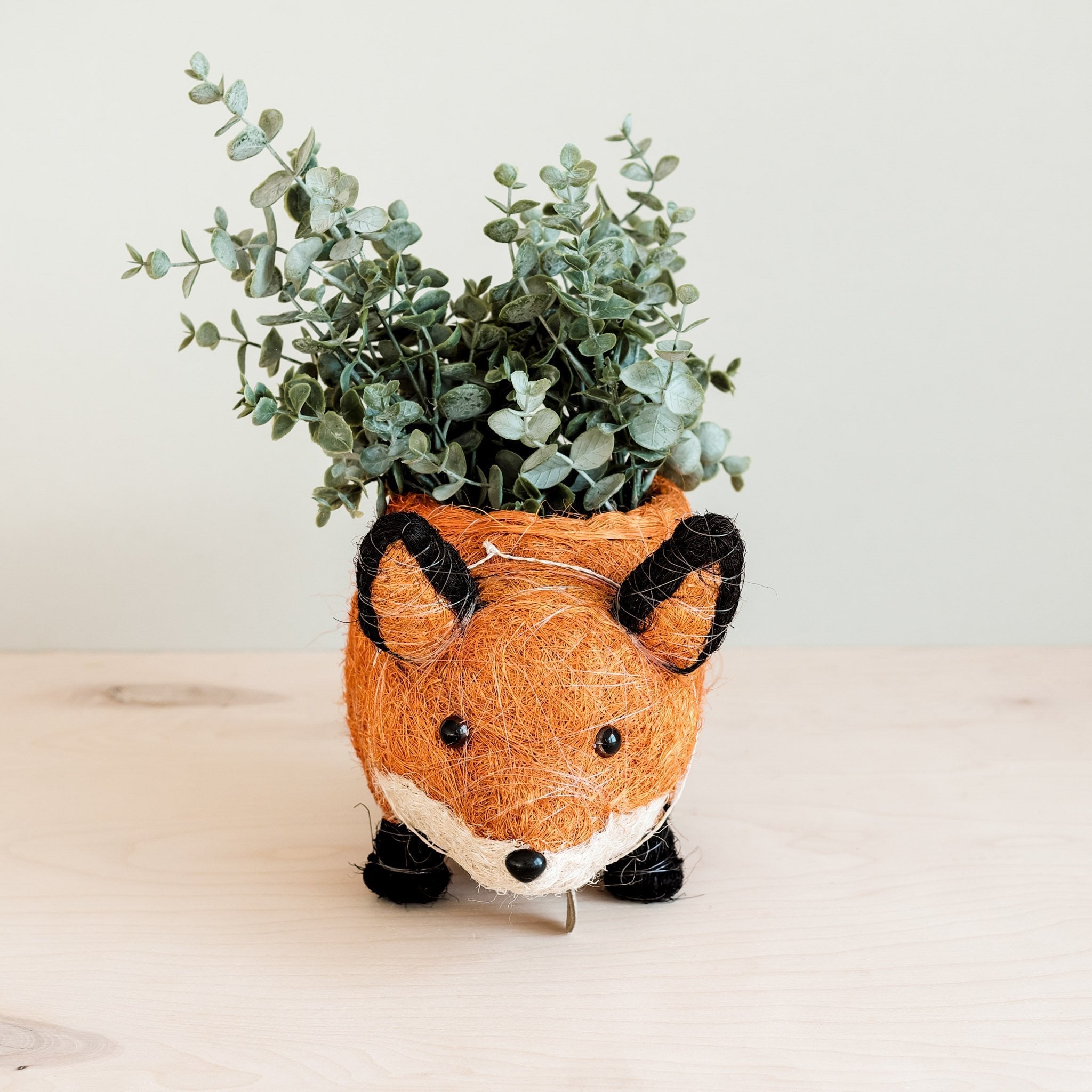 Fox Coco Fiber Planter - Henderson Garden Supply