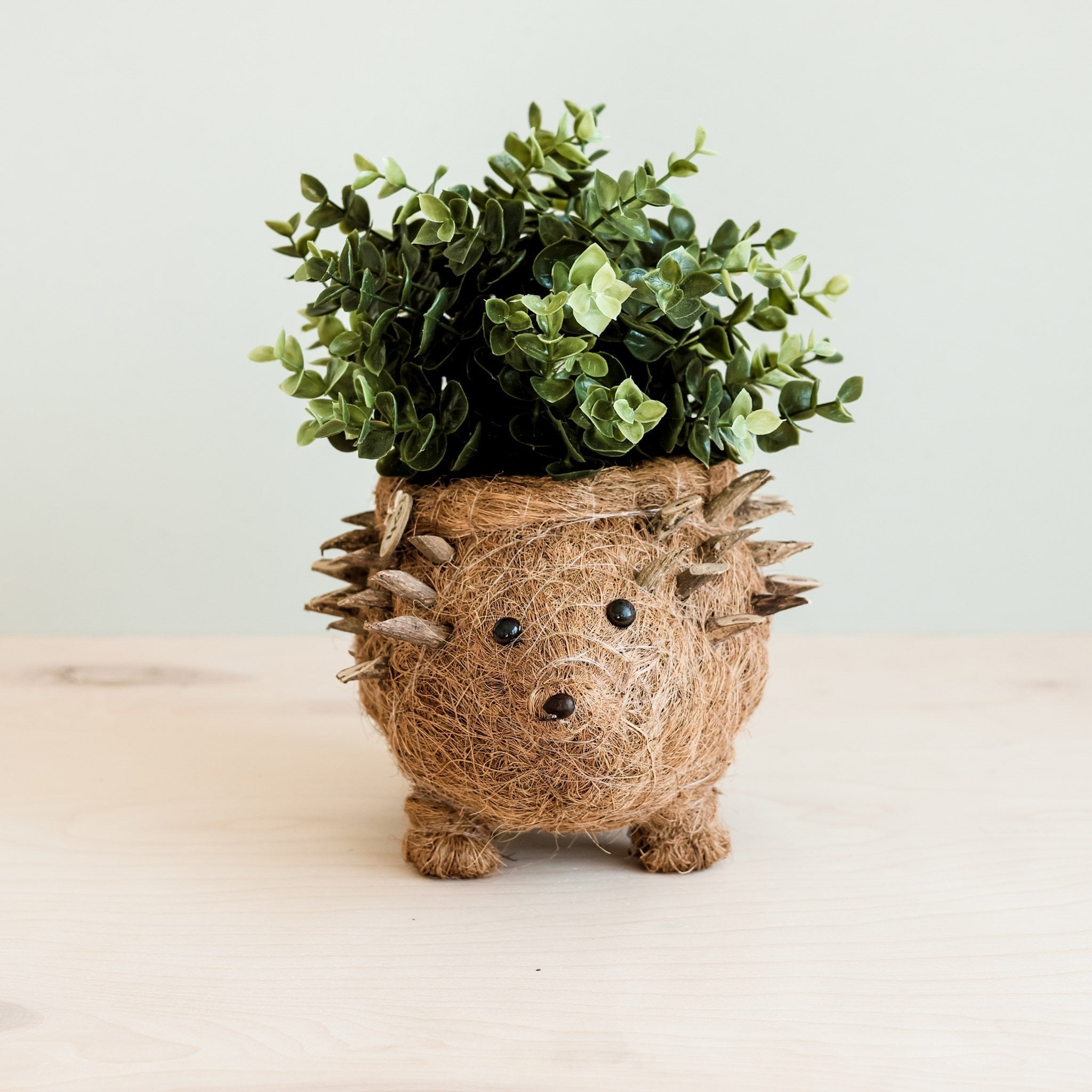 Hedgehog coco fiber basket planter - Henderson Garden Supply