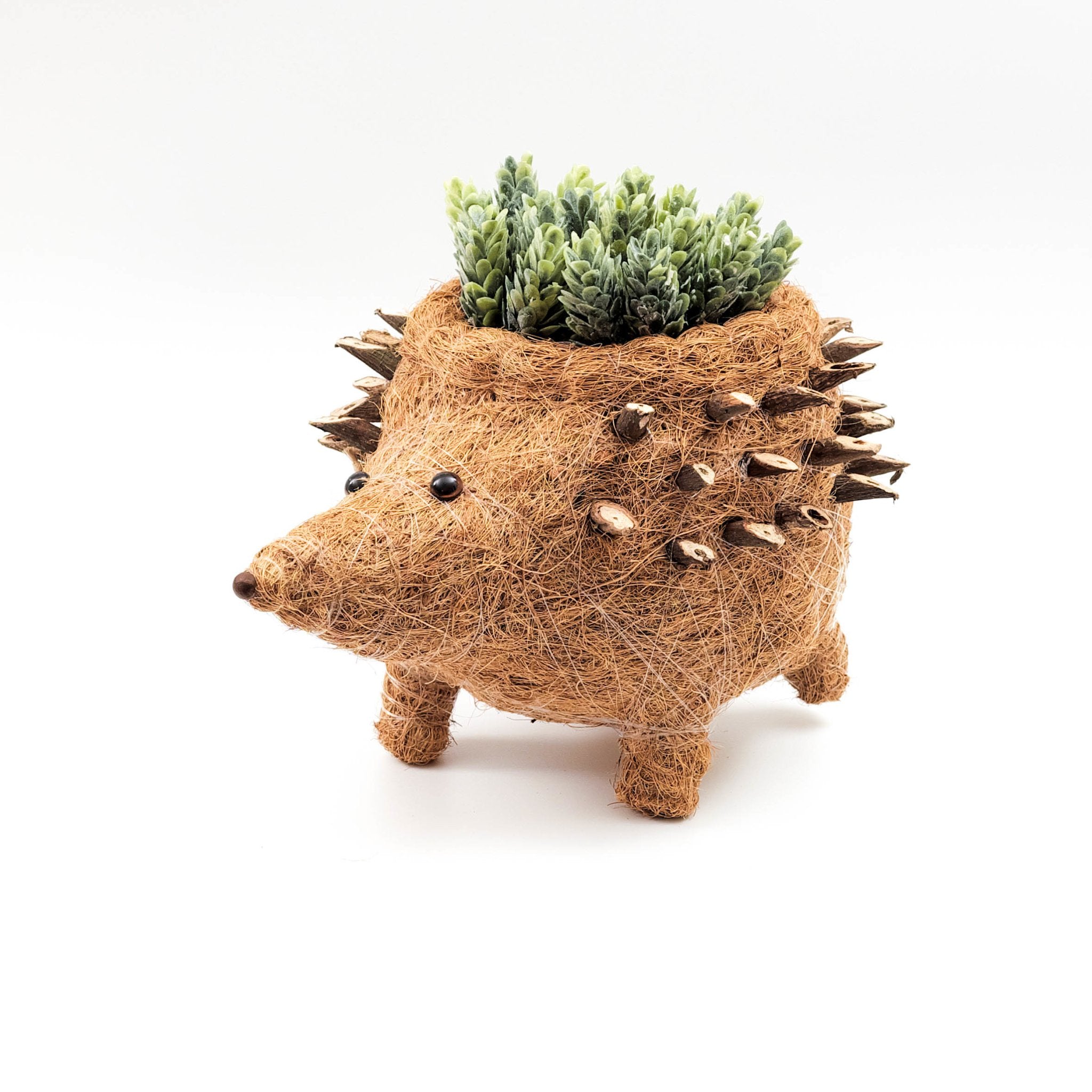 Hedgehog coco fiber basket planter - Henderson Garden Supply