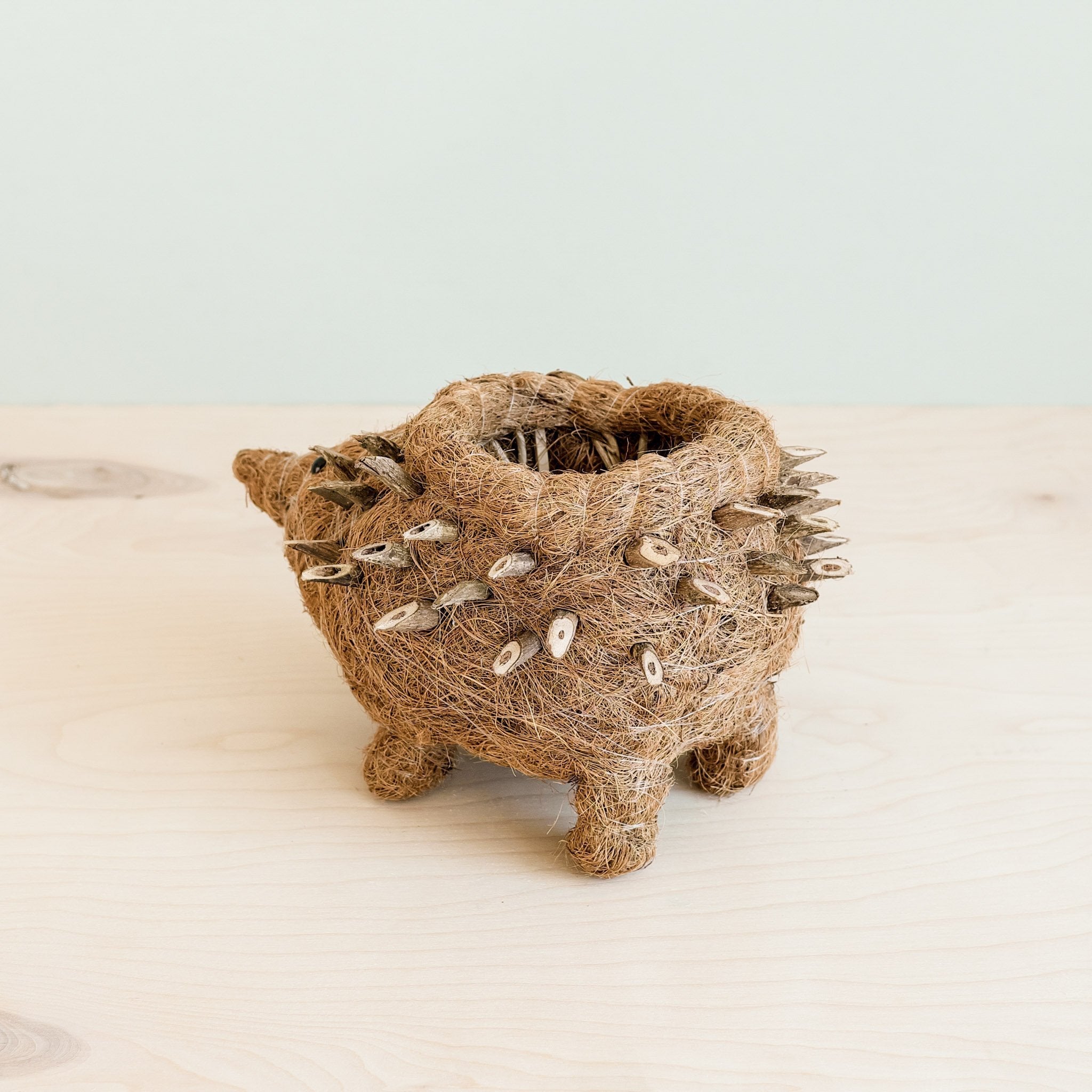 Hedgehog coco fiber basket planter - Henderson Garden Supply