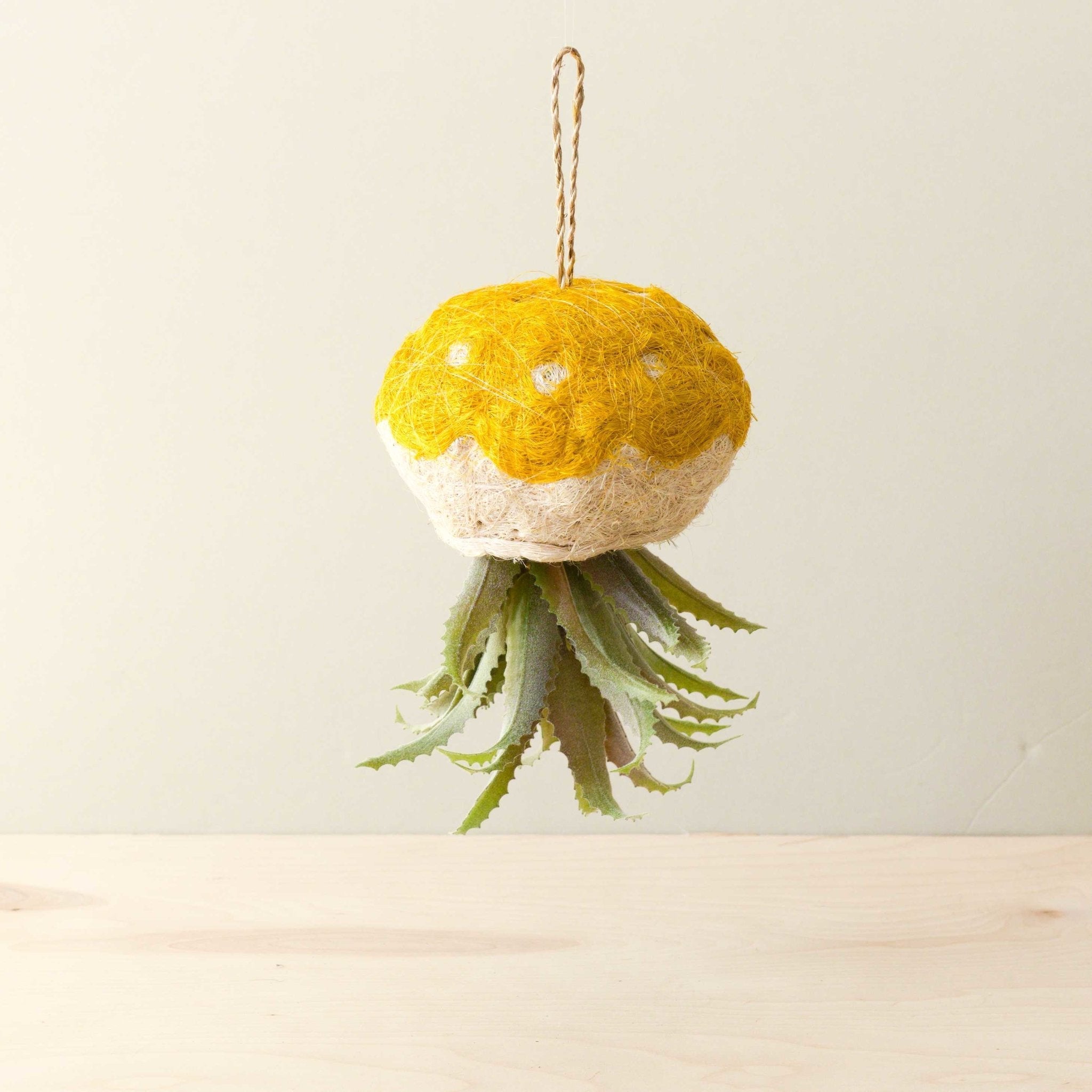 Jellyfish Air Planter - Handmade Planters