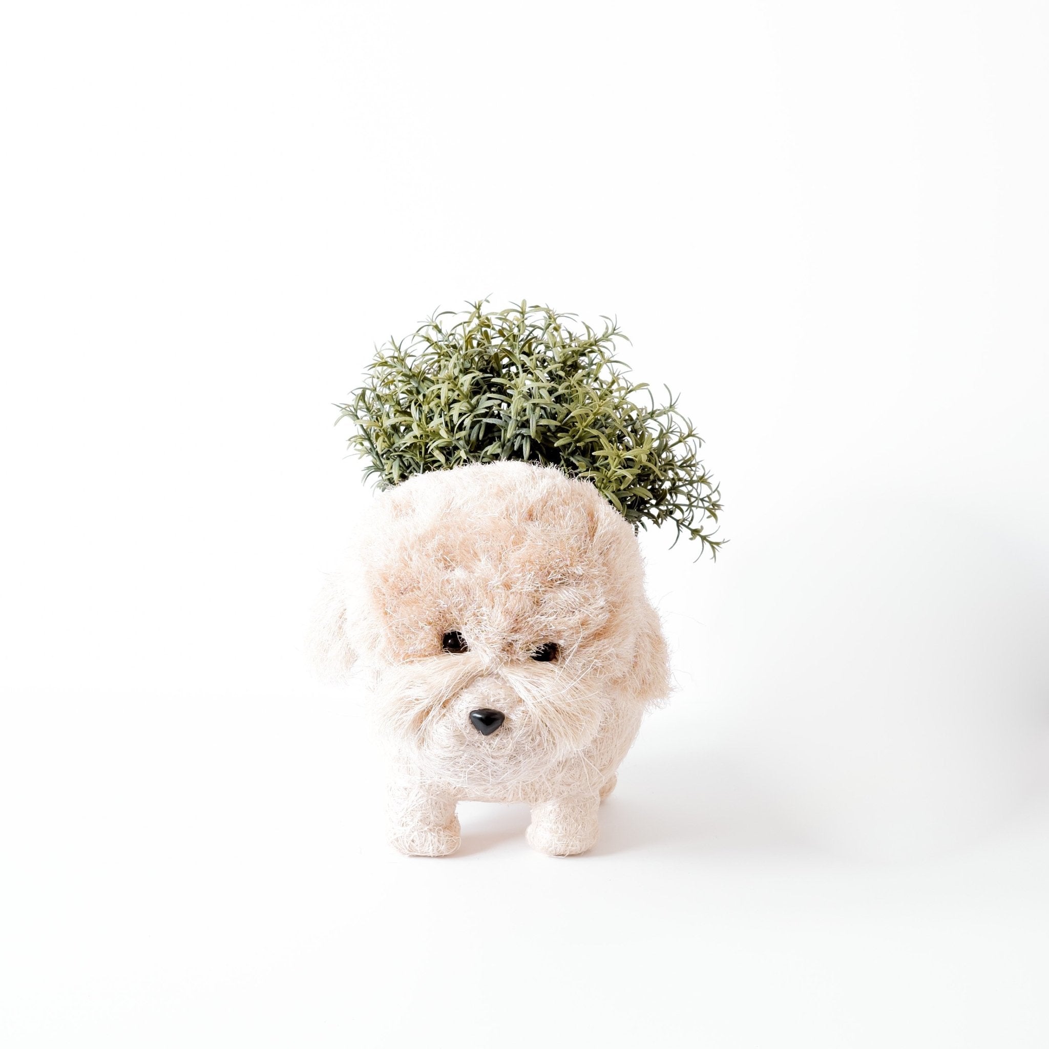 Poodle Coco Fiber Planter - Henderson Garden Supply