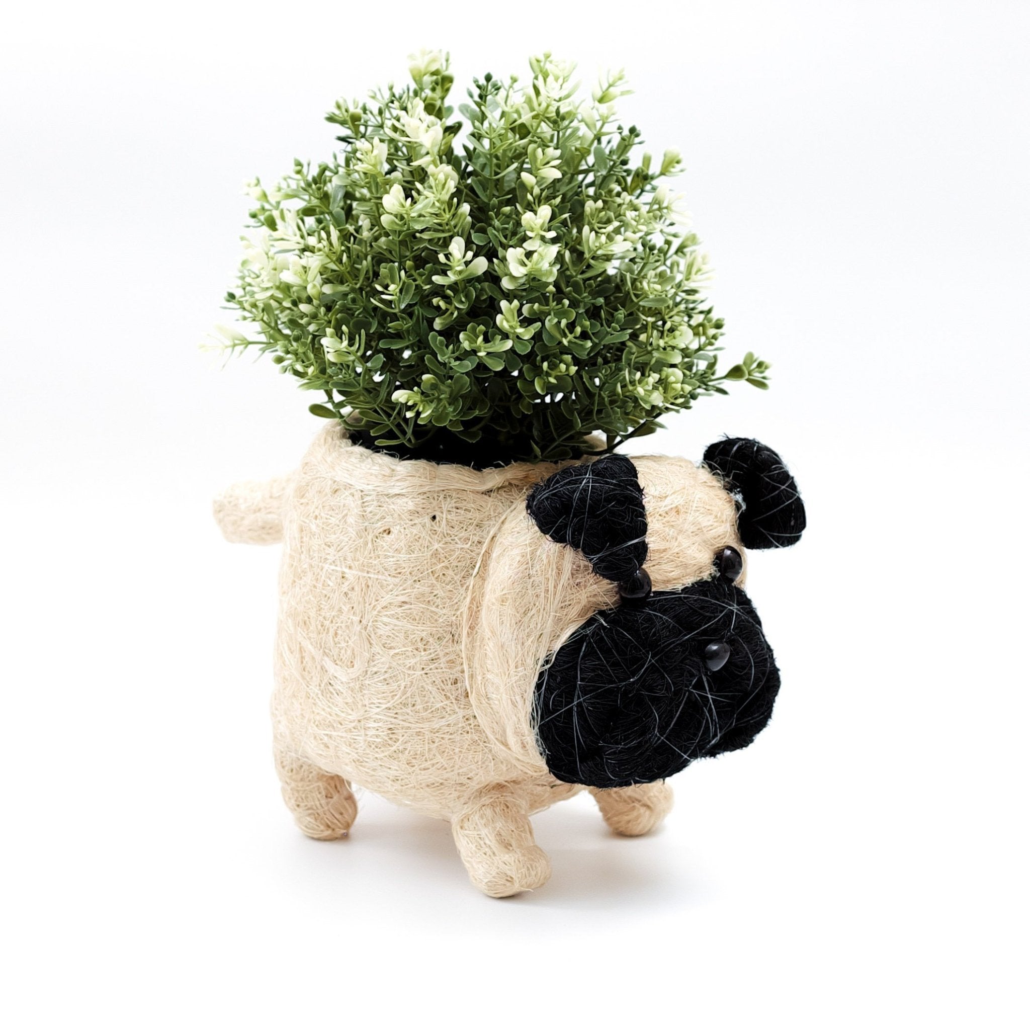 Pug Coco Fiber Planter - Henderson Garden Supply