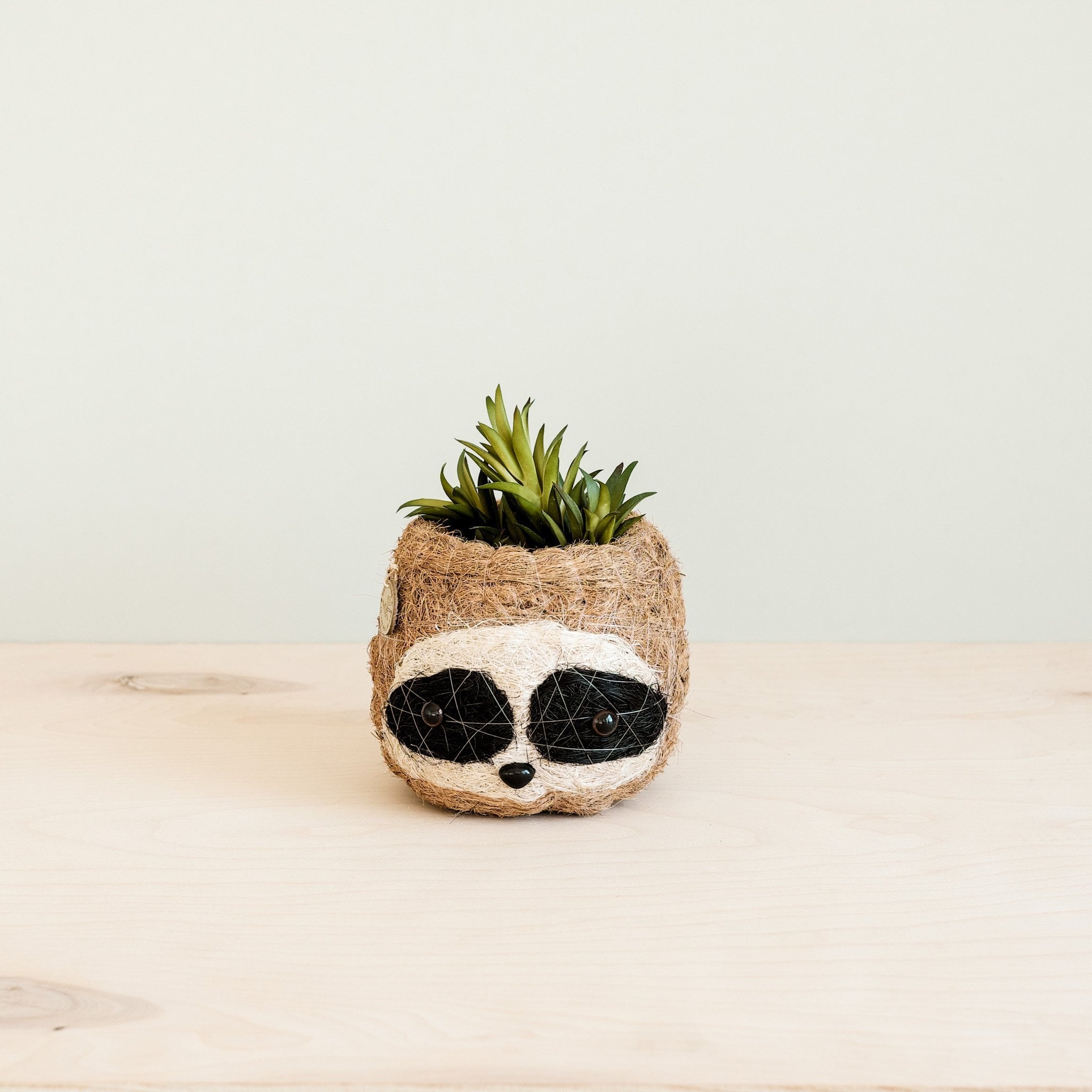 Three-tone Sloth Coco Coir Planter - Handmade Planters