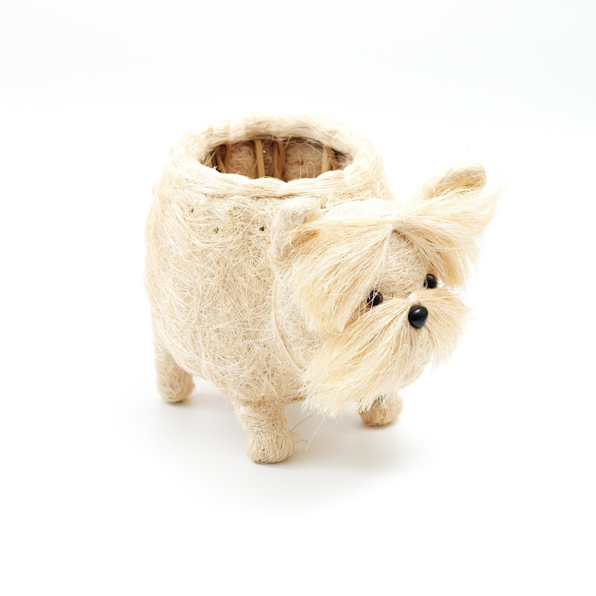 Westie Coco Fiber Planter - Henderson Garden Supply