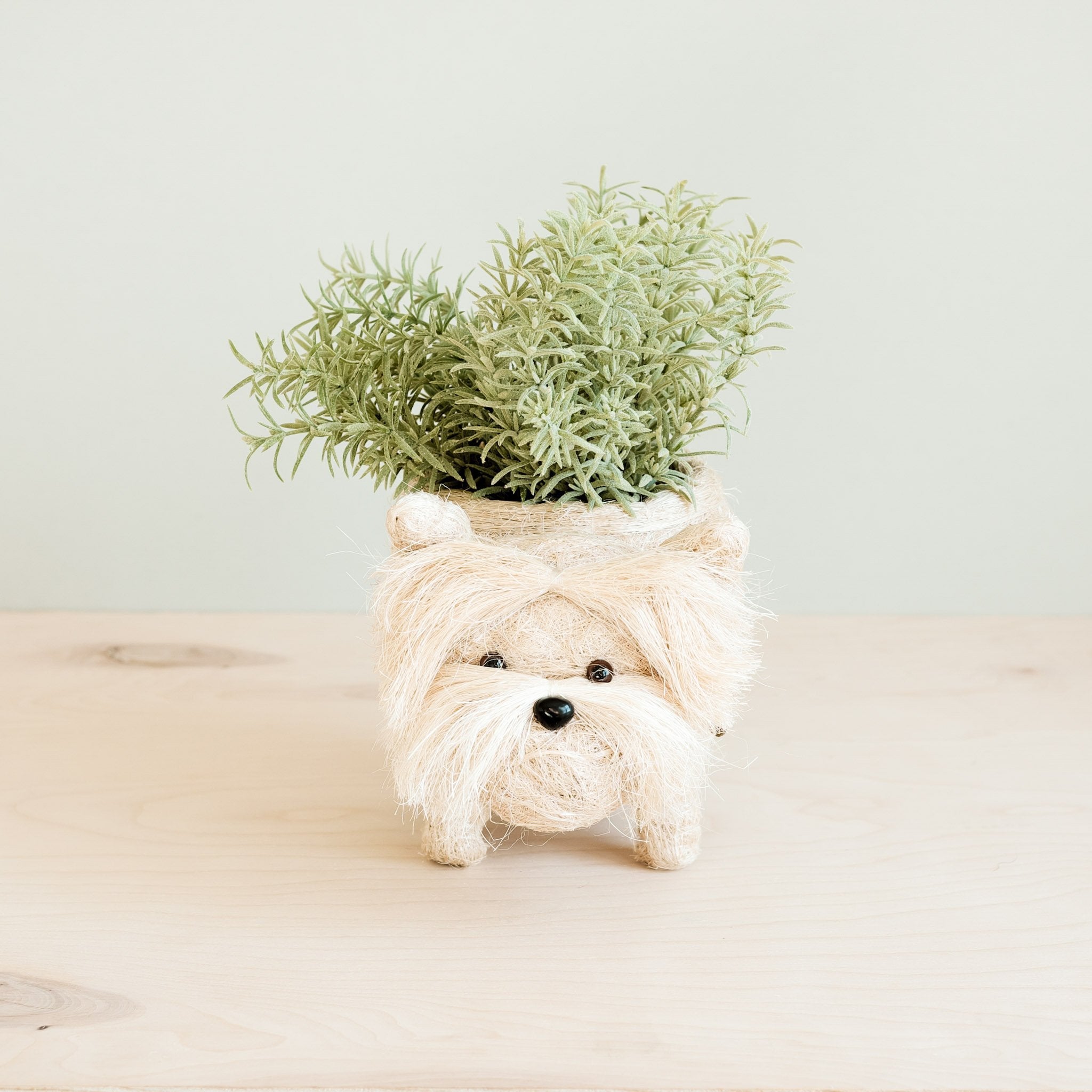 Westie Coco Fiber Planter - Henderson Garden Supply