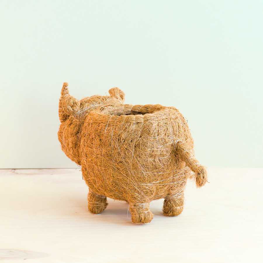 Rhino Planter - Coco Coir Pot