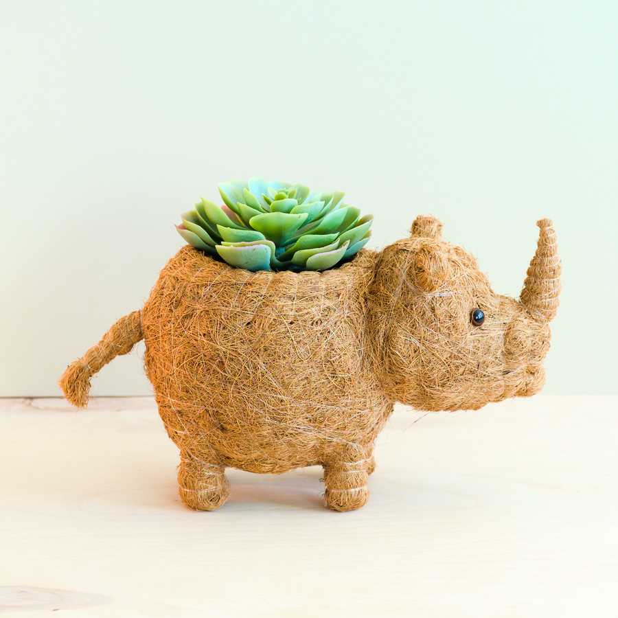 Rhino Planter - Coco Coir Pot