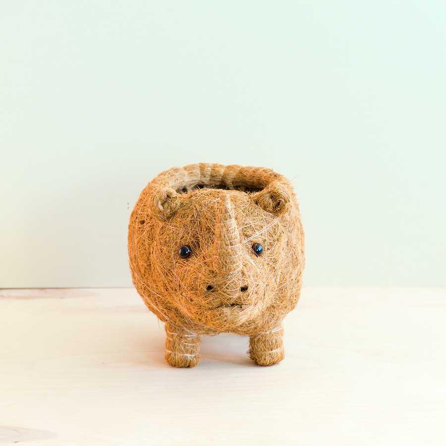 Rhino Planter - Coco Coir Pot