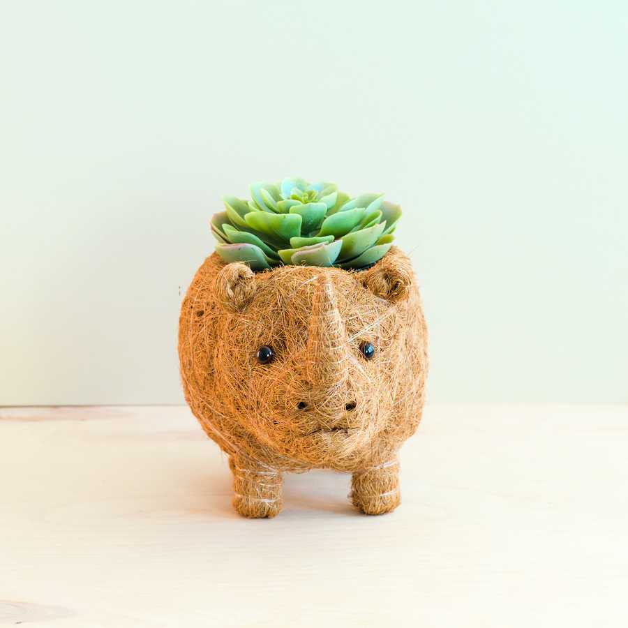 Rhino Planter - Coco Coir Pot