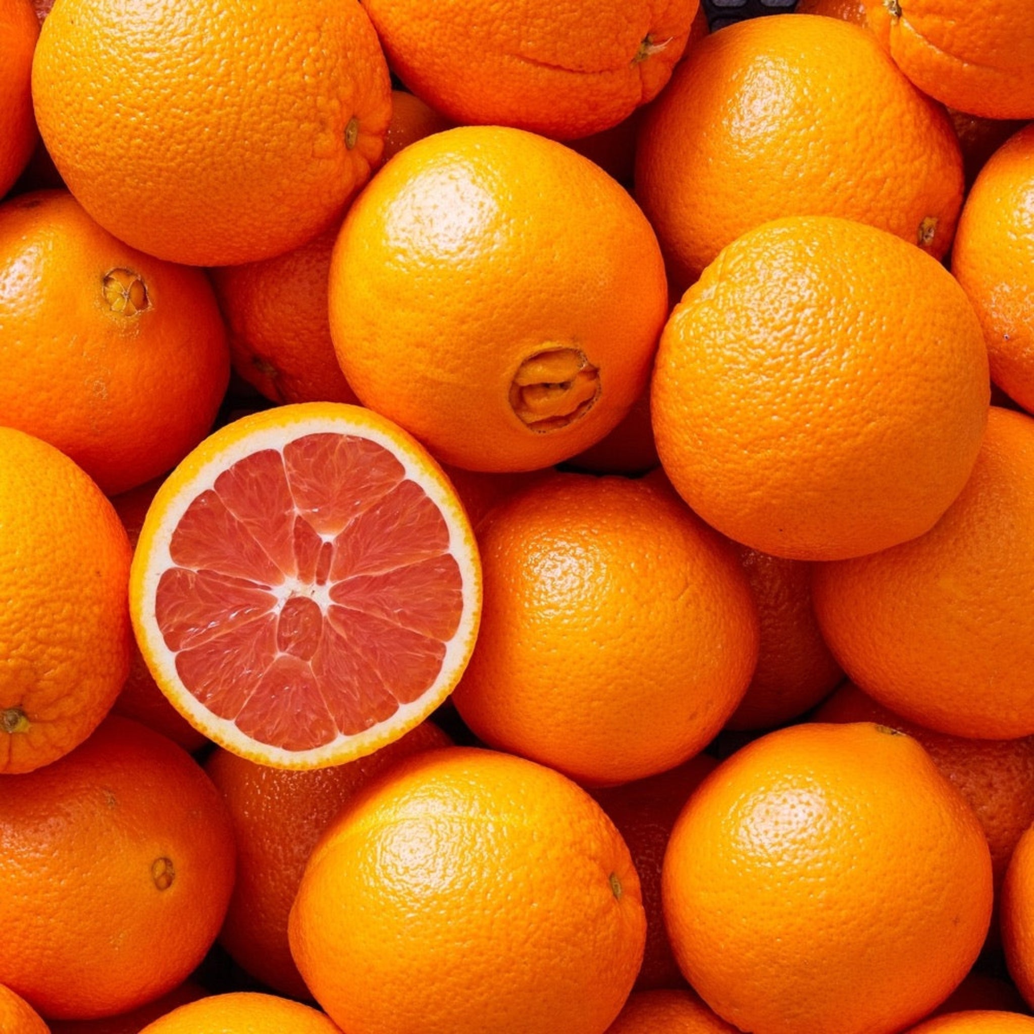 Stack of oranges with a halved grapefruit on top. Henderson Garden Supply