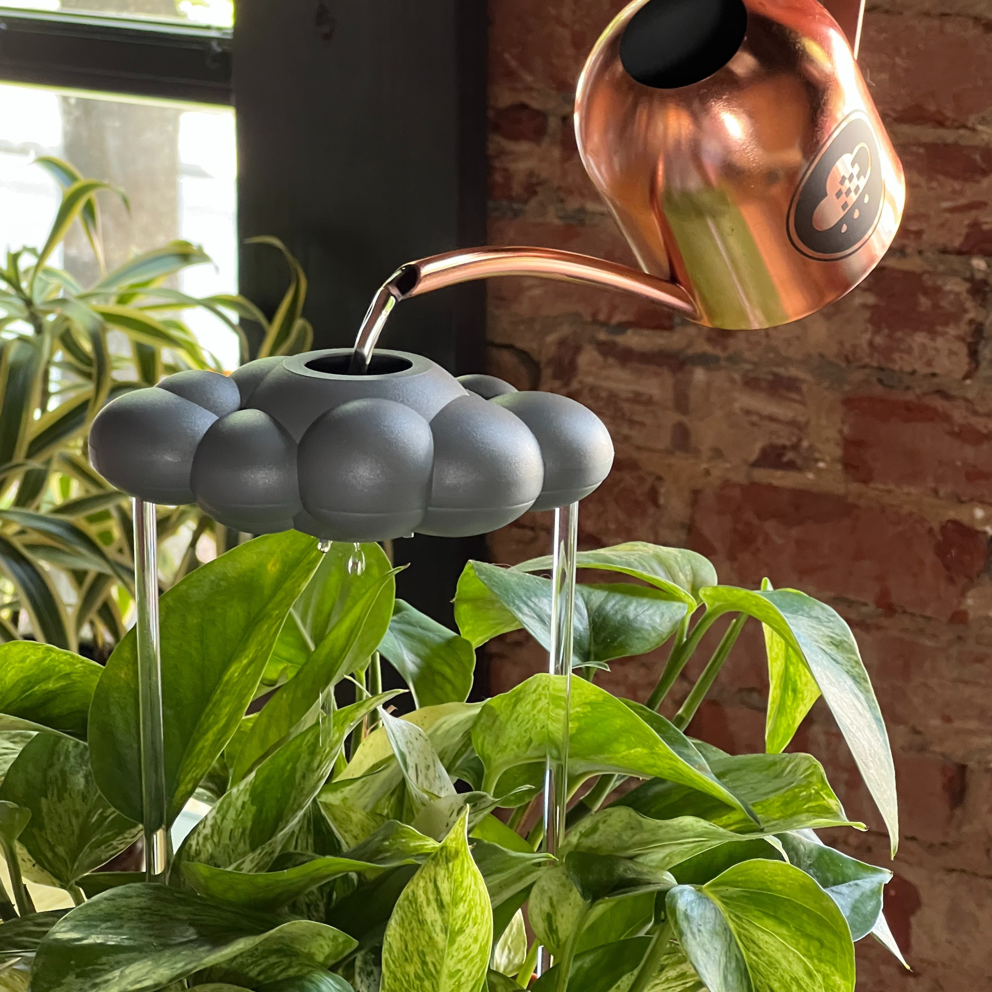 Stormy Dripping Rain Cloud