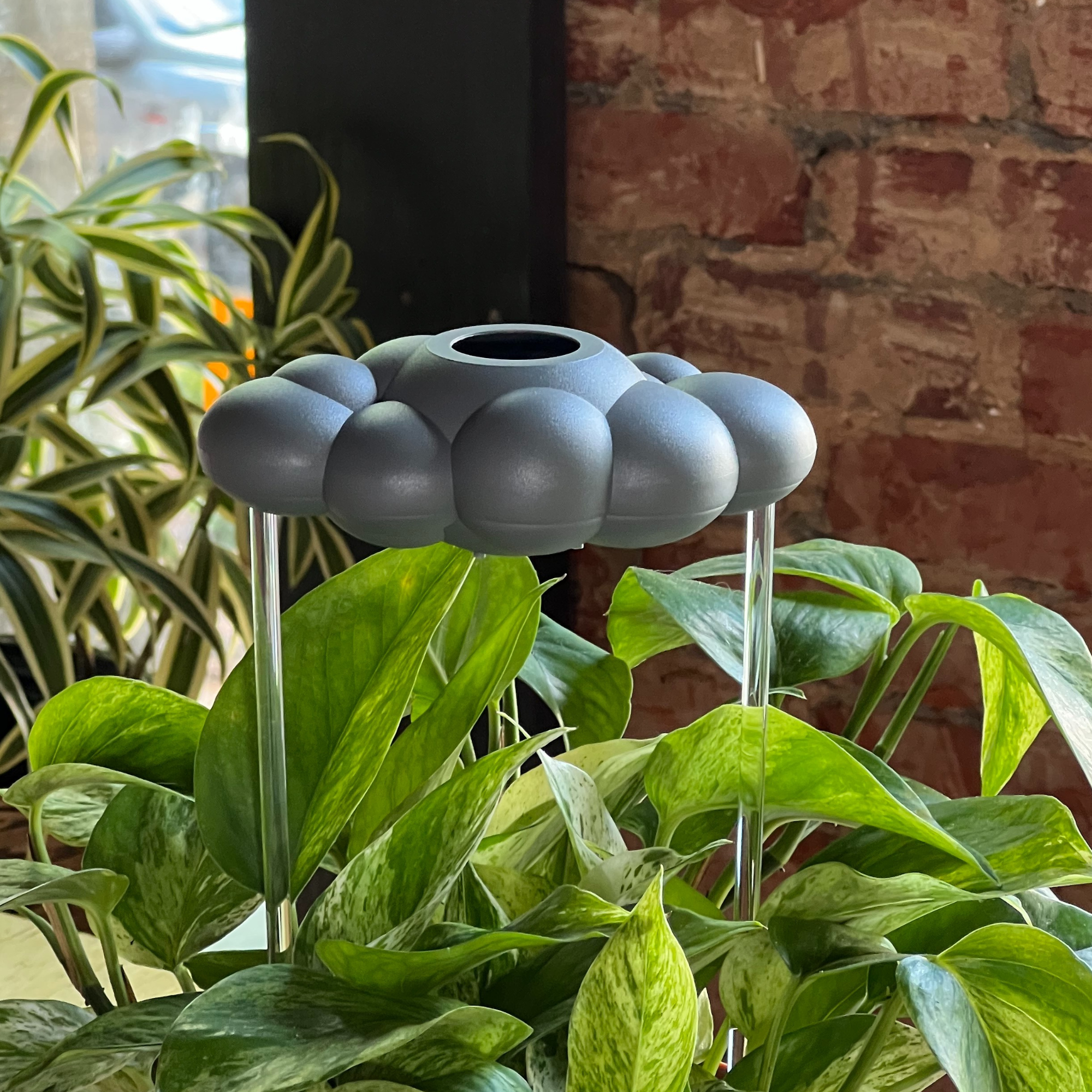 Stormy Dripping Rain Cloud