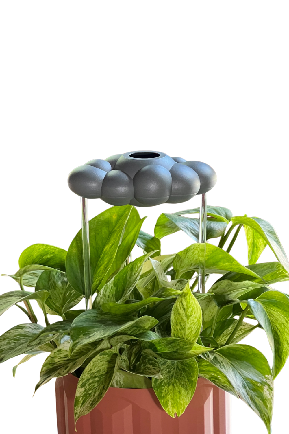 Stormy Dripping Rain Cloud