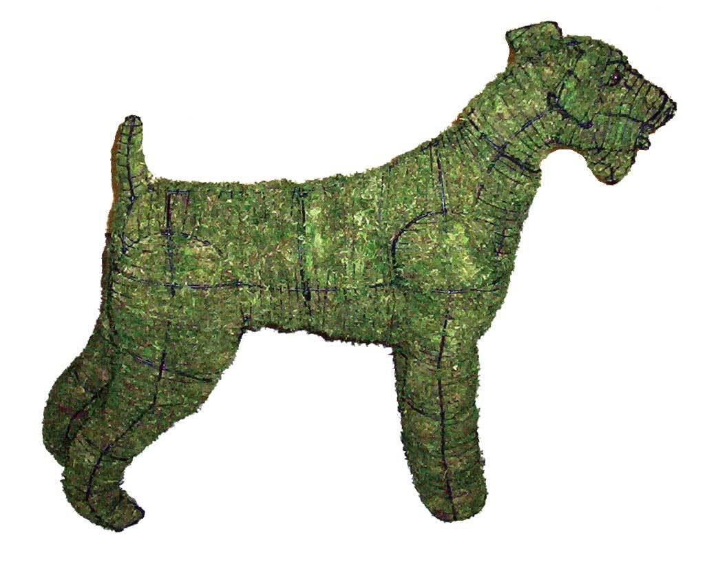 Airedale steel frame topiary filled with sphagnum green dyed moss - Henderson Garden Supply