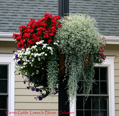 Hayrack Lamppost Euro-Classic Basket 25" - Henderson Garden Supply