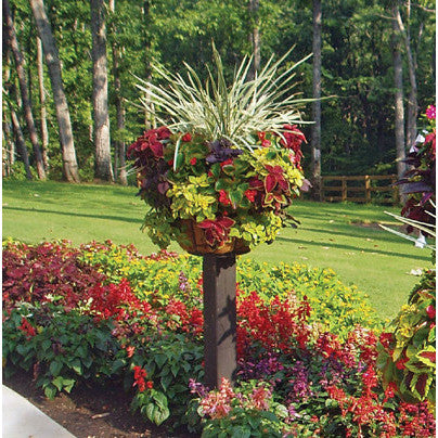 Pamela Crawford Double Tier Replacement Liners With Holes - Henderson Garden Supply