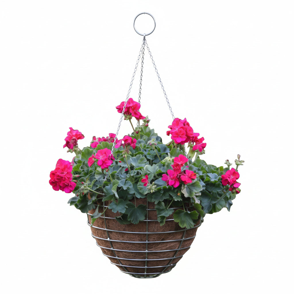 stainless steel hanging planter Stainless Steel Hanging Basket 24"
