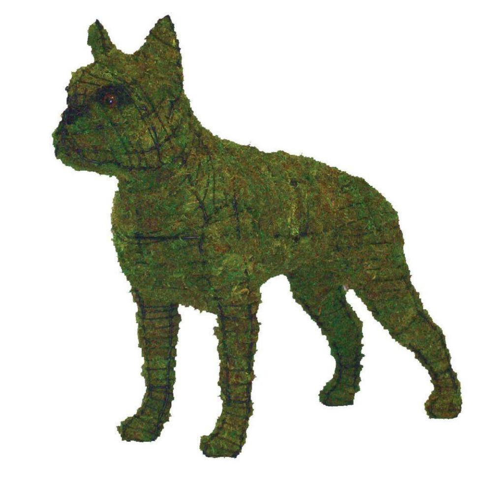 boston terrier succulent planter Boston Terrier Moss Filled Dog Topiary Frame