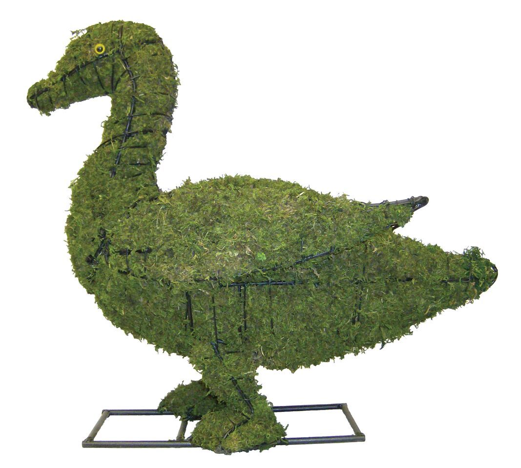 Duck topiary frame filled with green dyed sphagnum moss - Henderson Garden Supply
