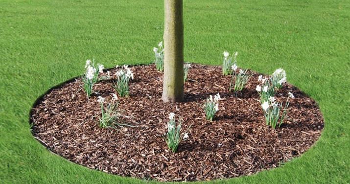 Everedge Tree Rings Black Powder Coated - Henderson Garden Supply