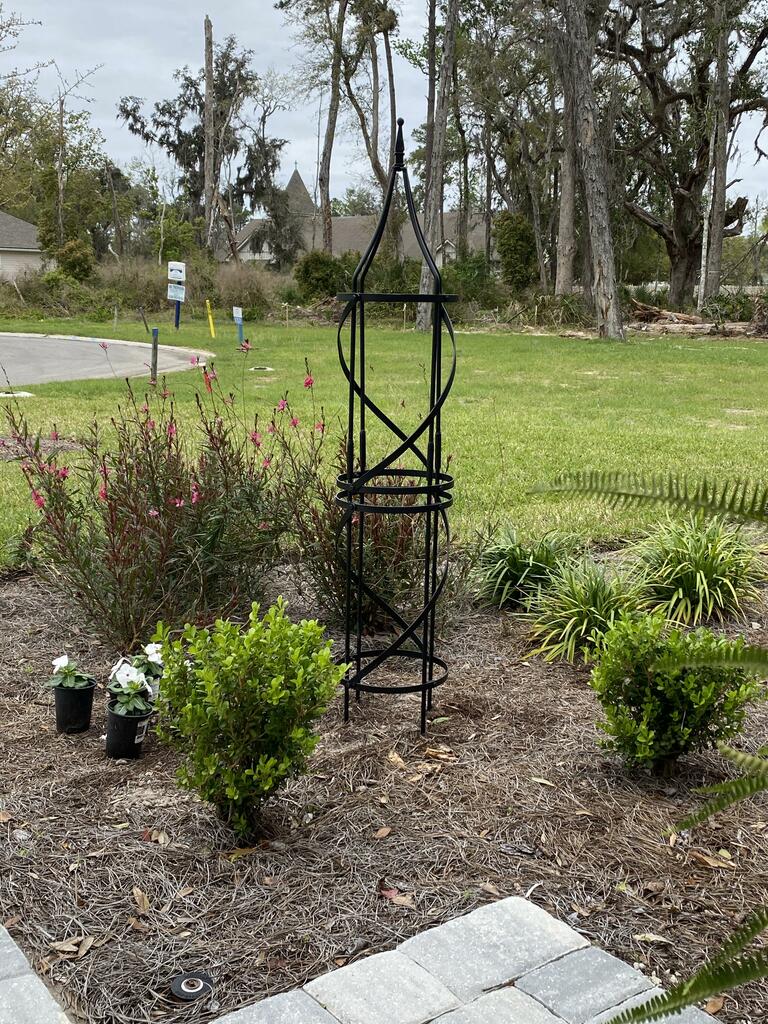 Border Tuteurs - Solid Steel Obelisk - 4 sizes available