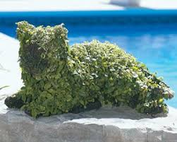 Cat topiary frame shown planted with vining ivy - Henderson Garden Supply