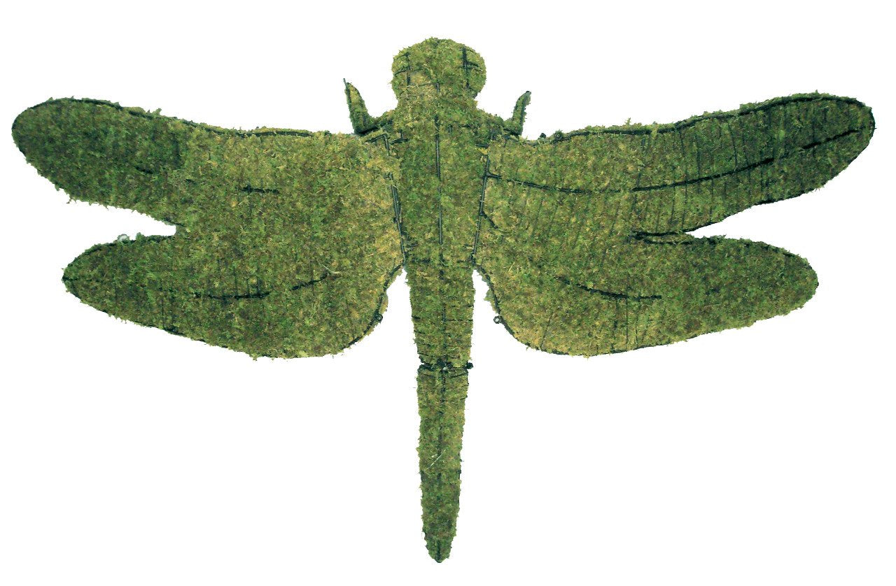 Dragonfly topiary frame filled with green dyed sphagnum moss - Henderson Garden Supply