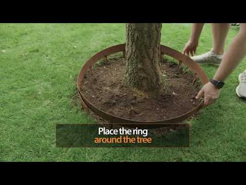 Core Pre-Rolled Steel Garden Tree Rings Brown