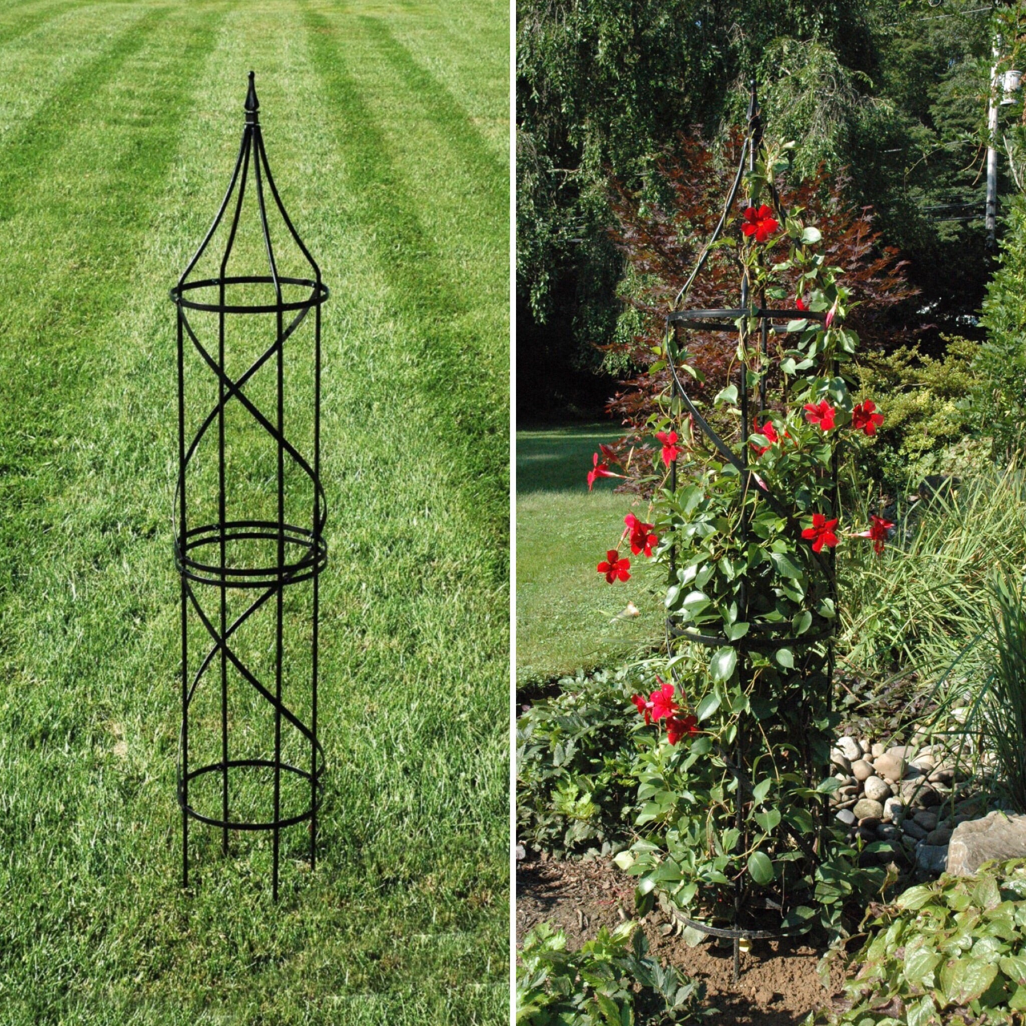 Steel Border Tuteur show in yard and with red flowering vine - Henderson Garden Supply