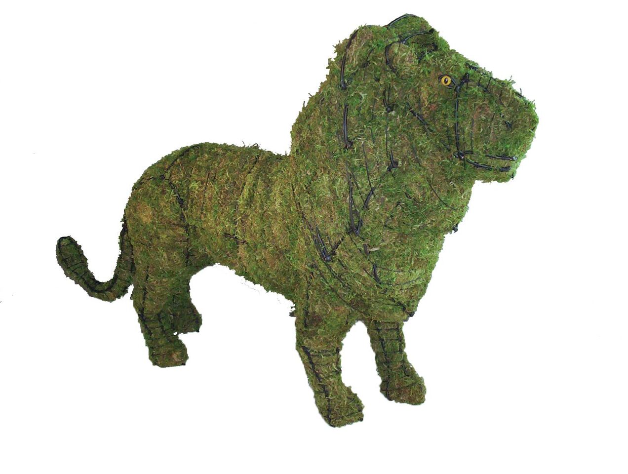Lion steel topiary frame filled with green dyed sphagnum moss - Henderson Garden Supply