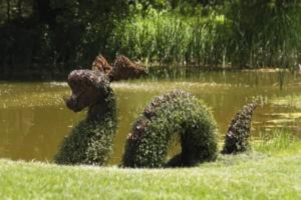 Nessie Lock Ness Monster steel topiary frame filled with green dyed sphagnum moss - Henderson Garden Supply