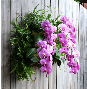 Pamela Crawford Living Wall Planter - Henderson Garden Supply