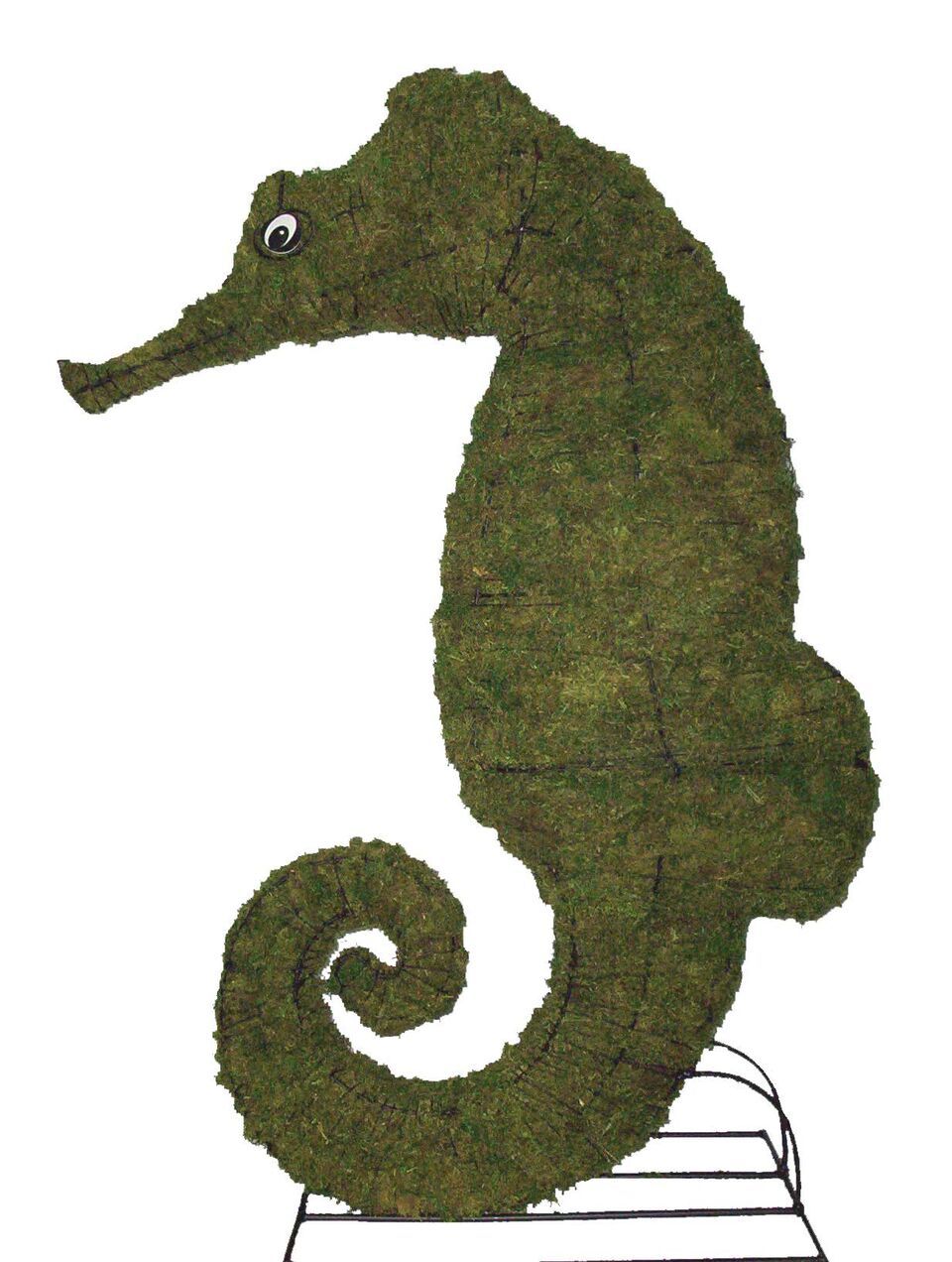 Seahorse steel topiary frame filled with green dyed sphagnum moss - Henderson Garden Supply