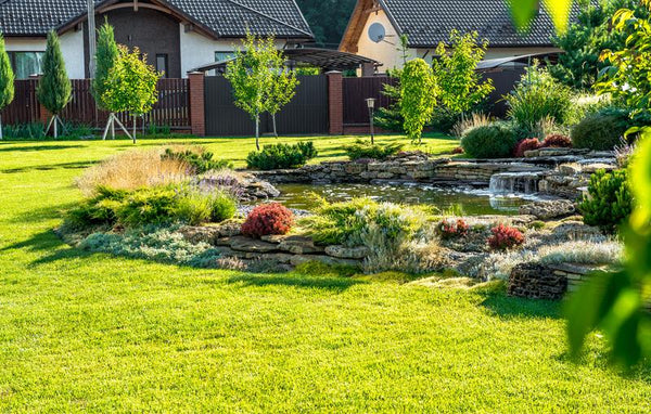 8 Fun Features Your Backyard Needs