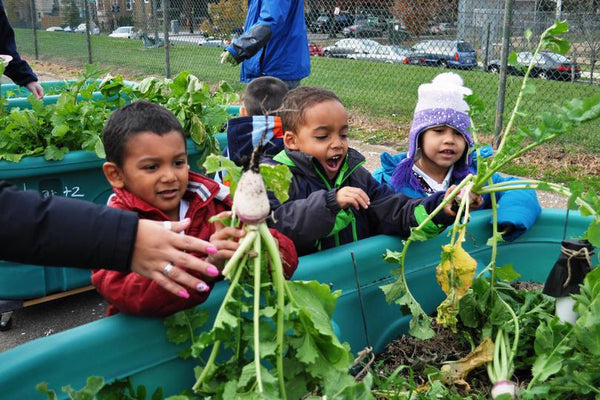 Vegetable Gardens For Kids