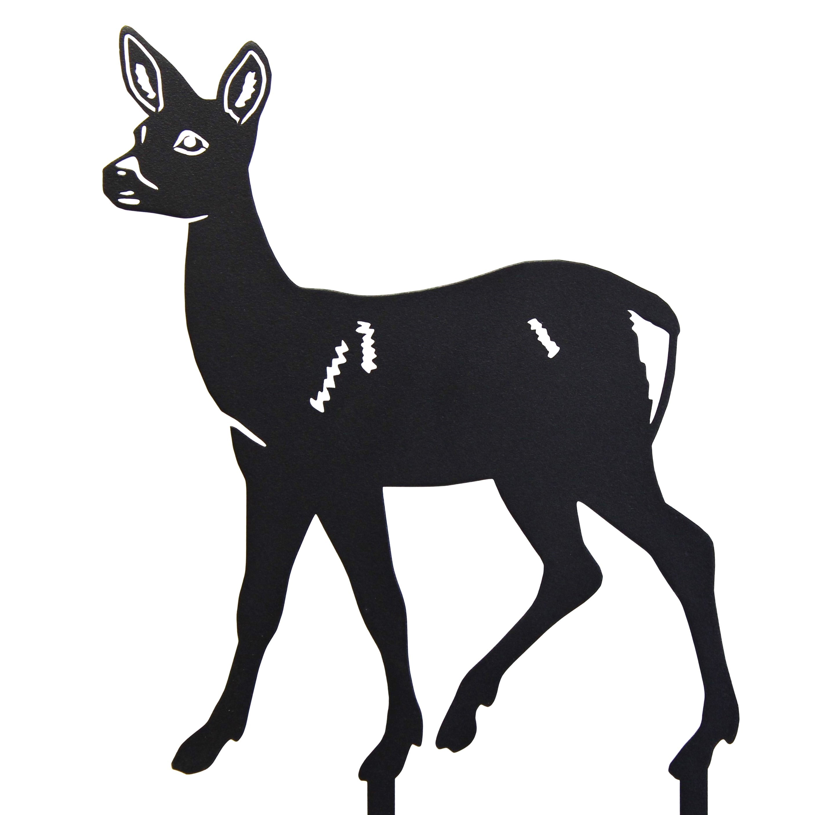 Doe Deer