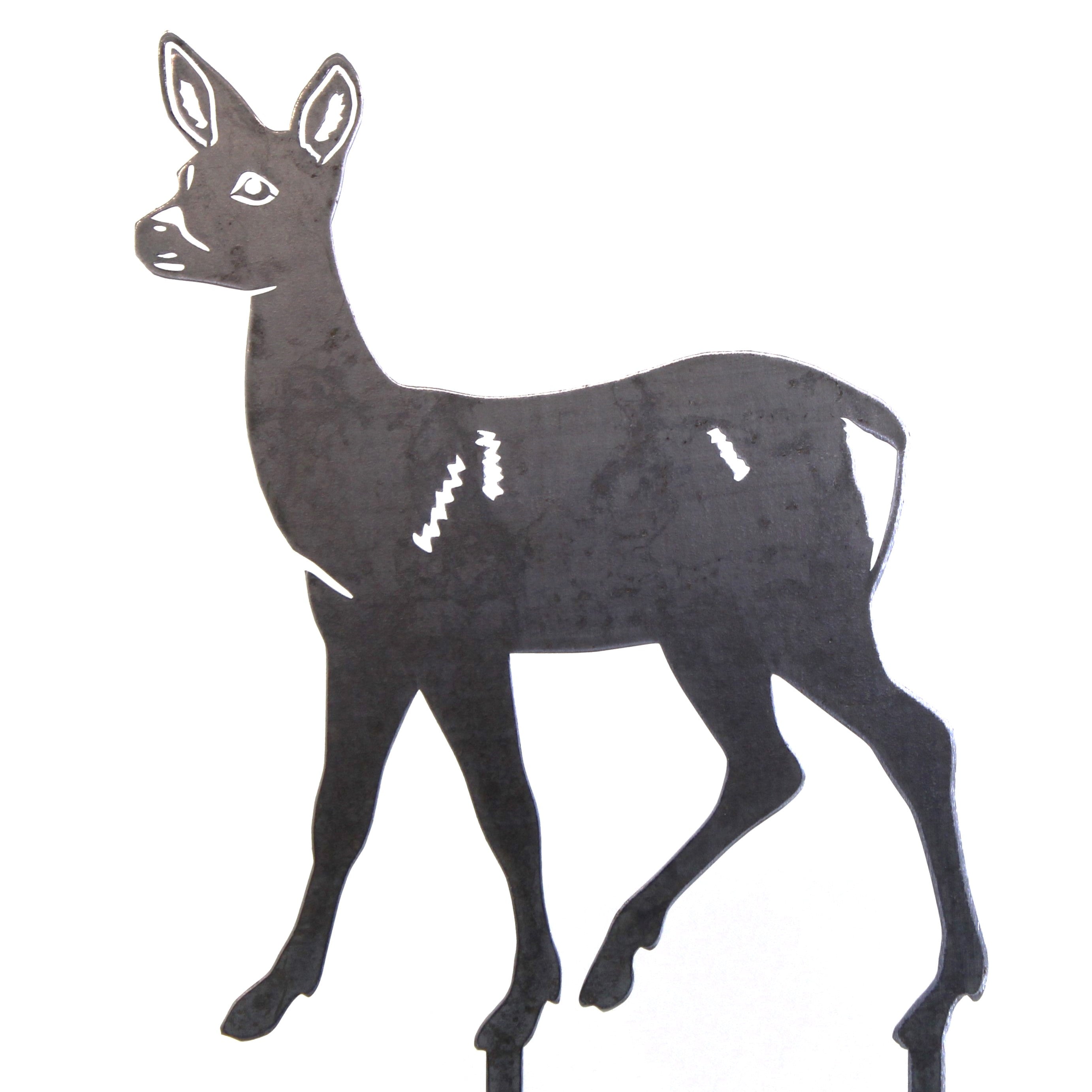Doe Deer