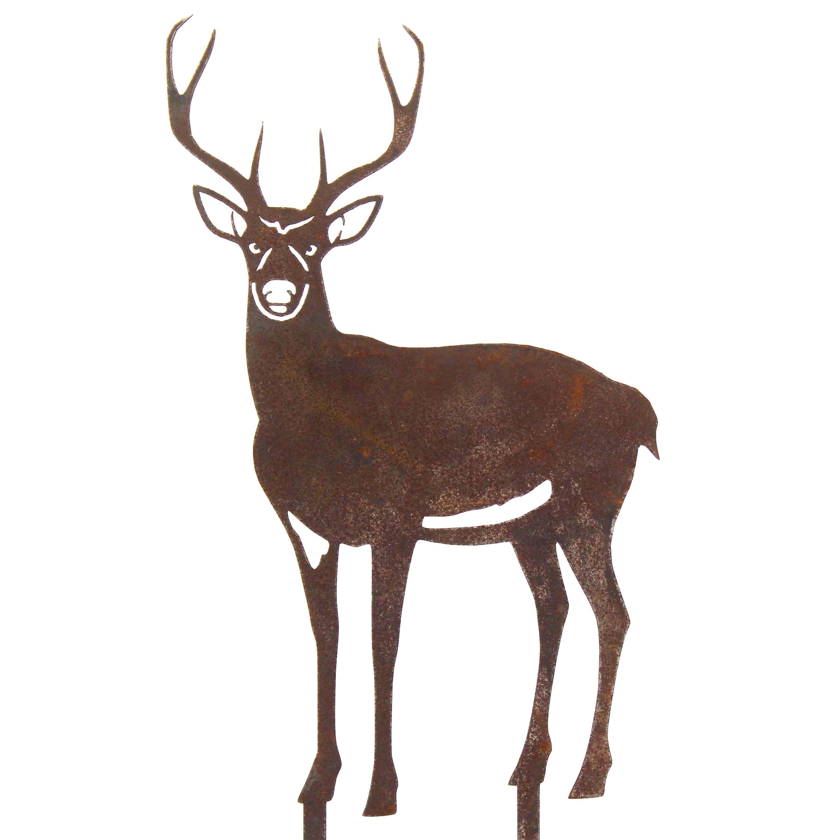Deer - Buck