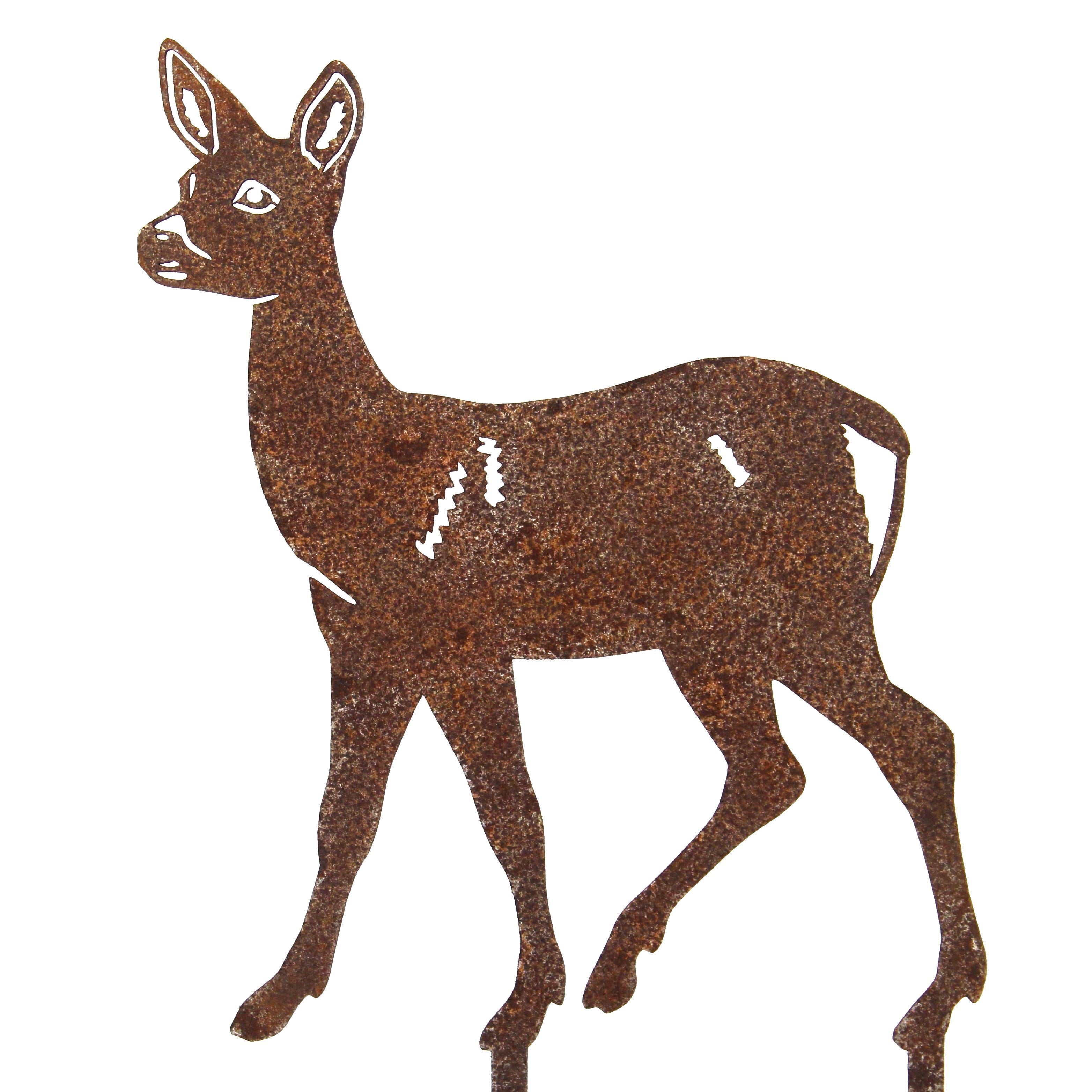 Doe Deer