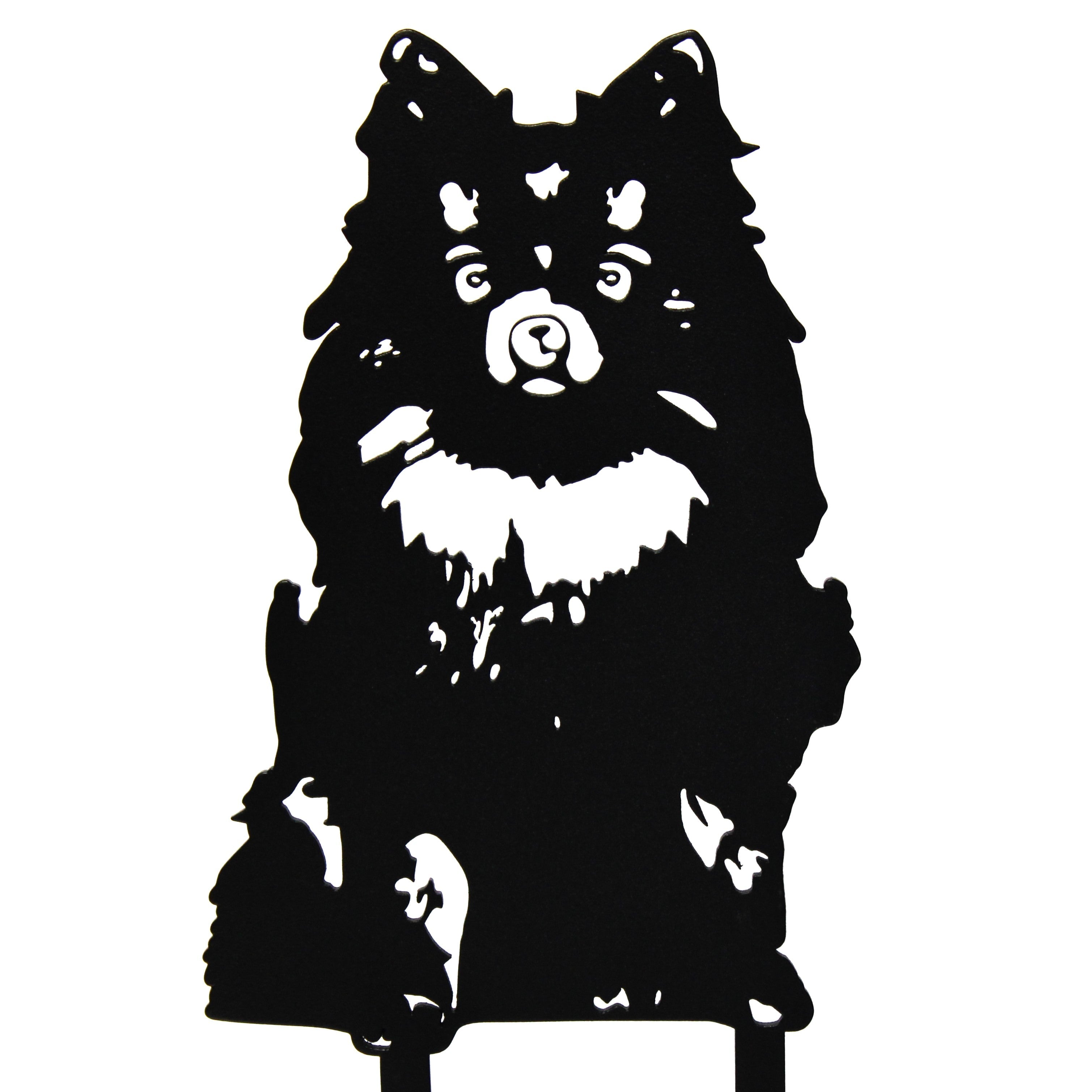 Pomeranian