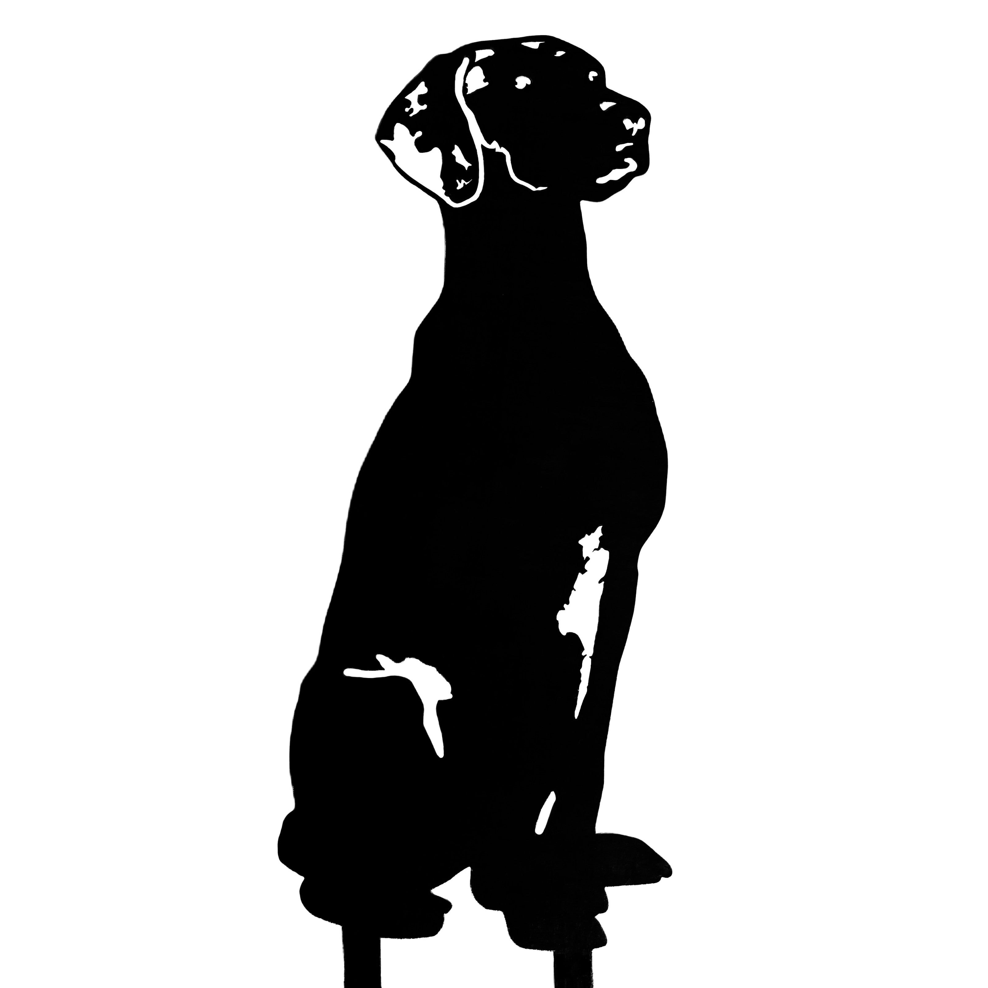 Rhodesian Ridgeback