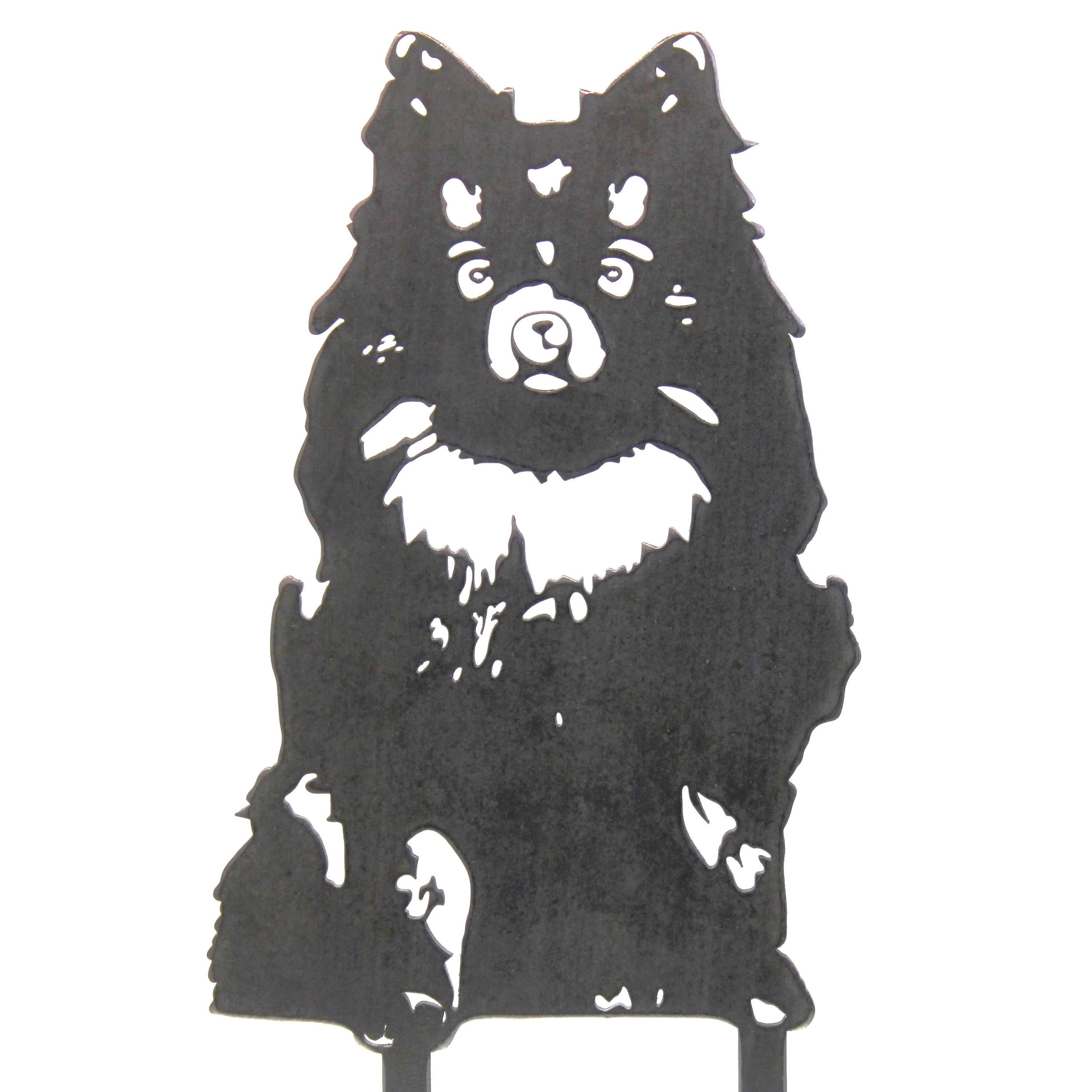 Pomeranian