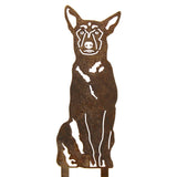 Belgian Malinois