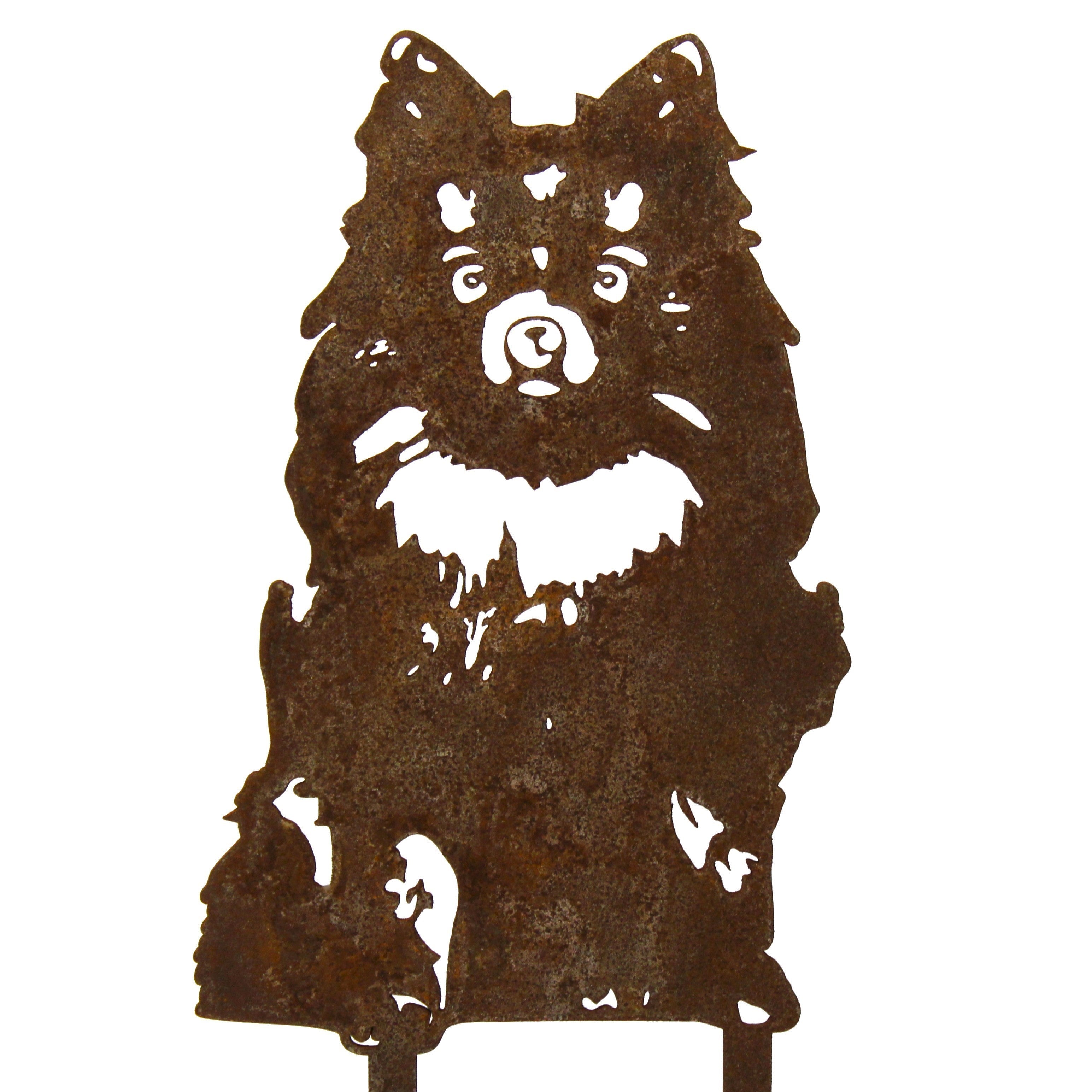 Pomeranian