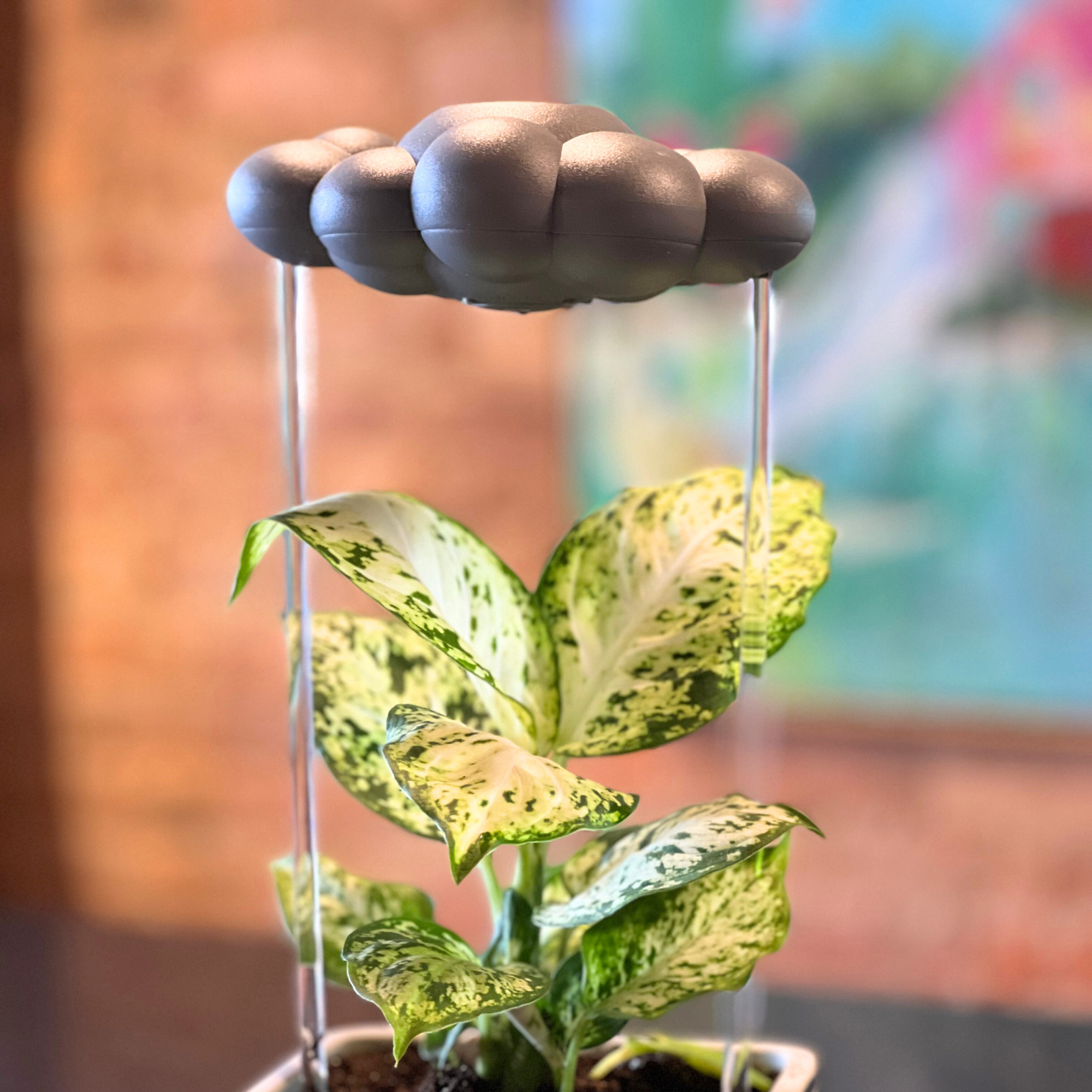 Stormy Dripping Rain Cloud