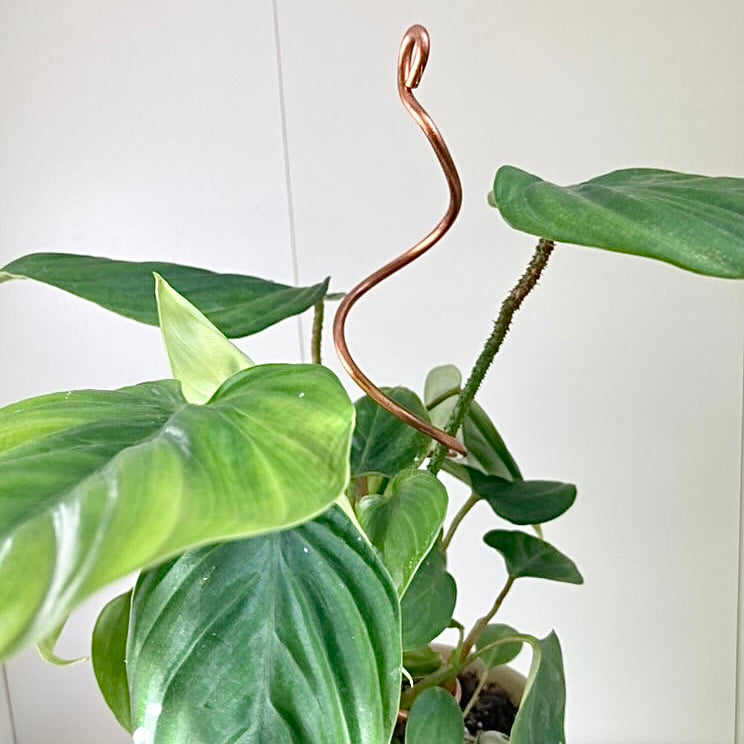 Copper Twirl and Whirl Plant Sticks, Decorative Plant Stakes