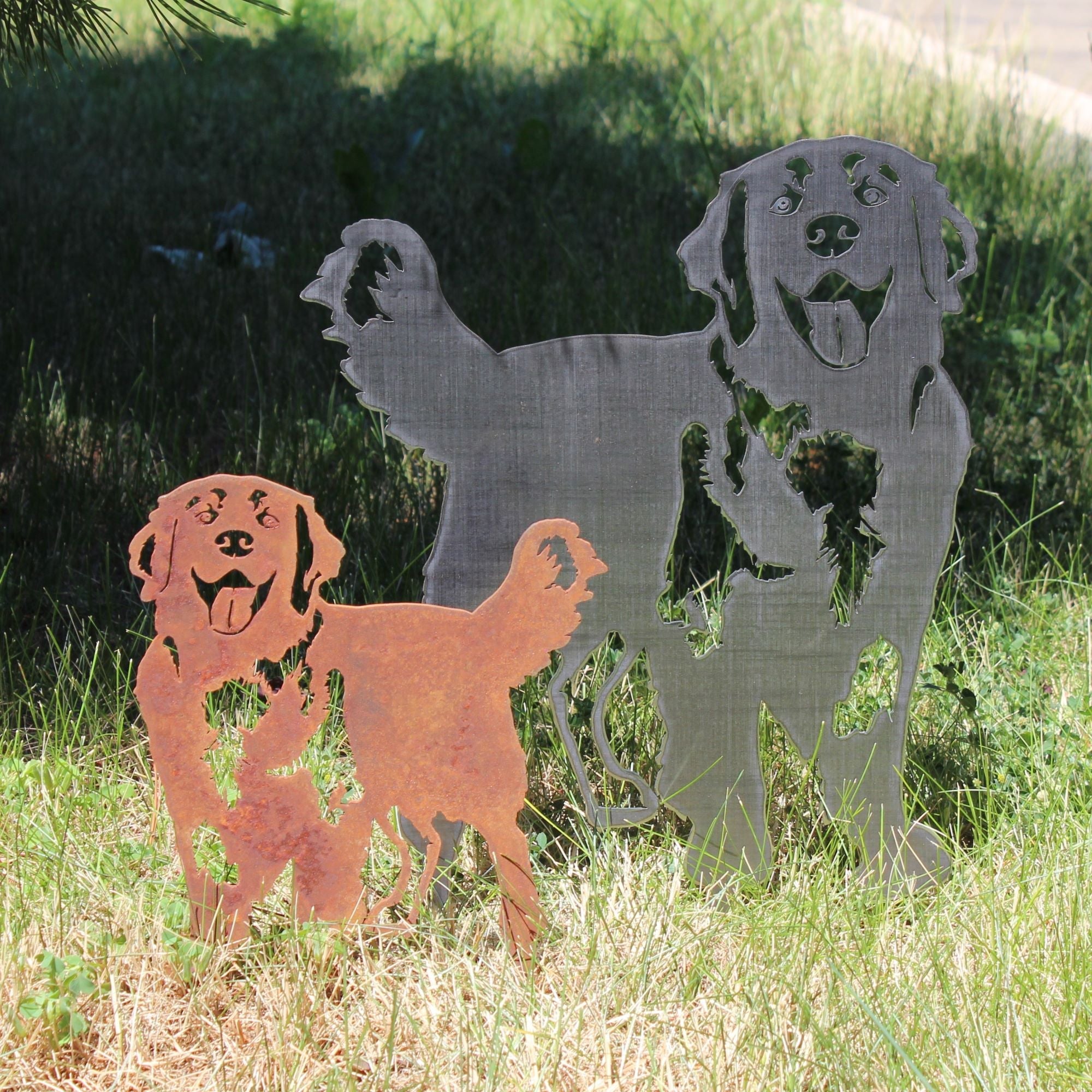 Golden Retriever - Standing