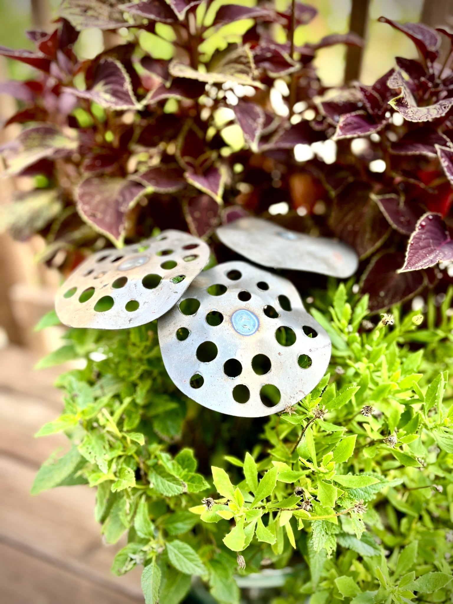 Decorative metal lotus flower with holes on a green plant background - Henderson Garden Supply