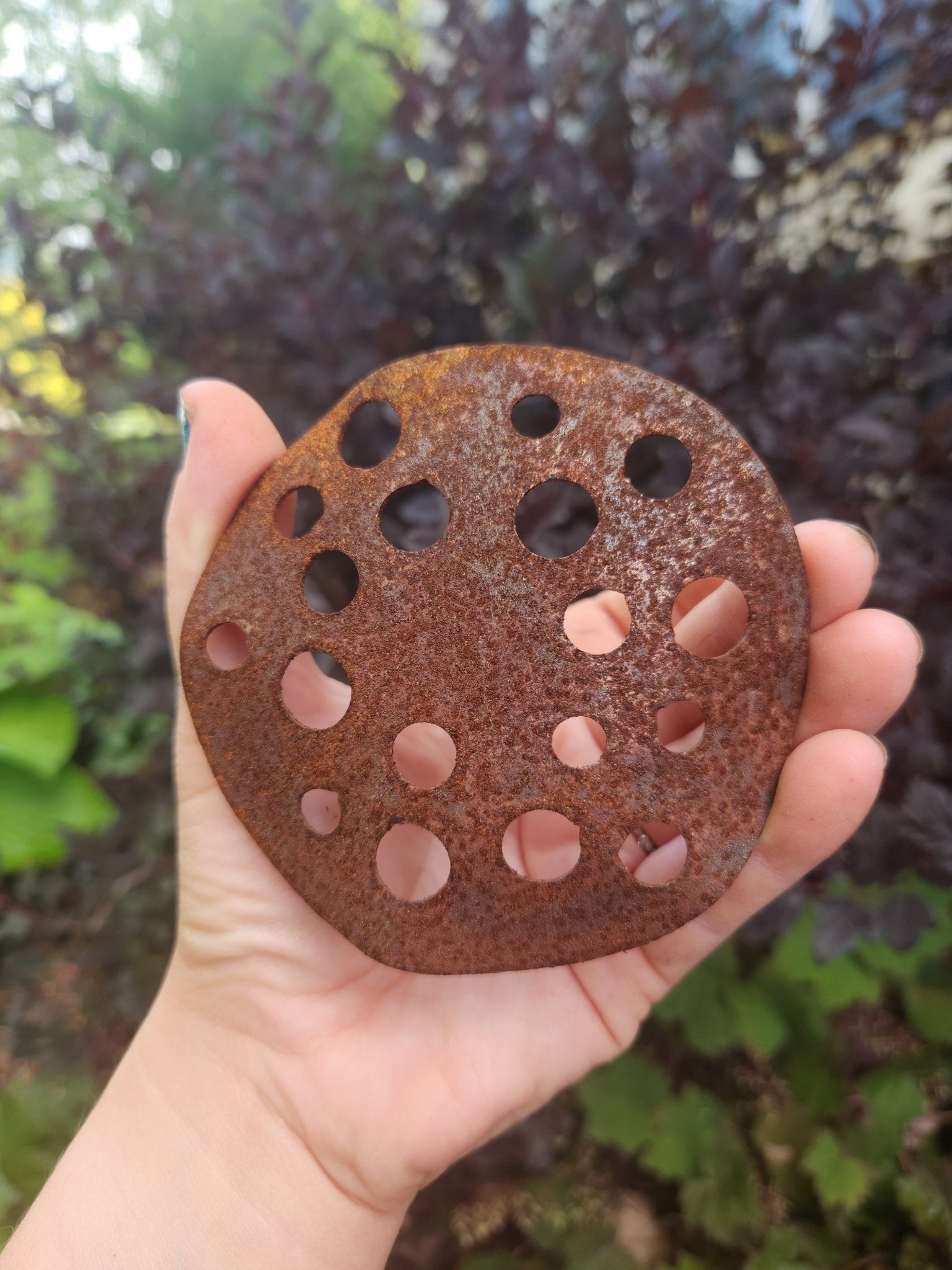 Rust-colored metal disc with holes held in a hand against a blurred natural background Henderson Garden Supply